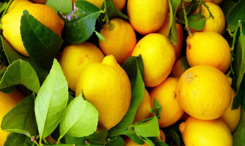 Detossificarsi con la dieta del limone